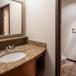 One-Bedroom Queen Suite