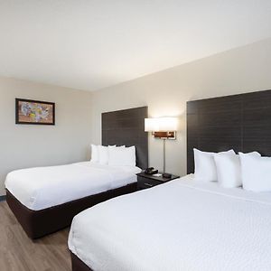 Double Room Two Double Beds Non-Smoking