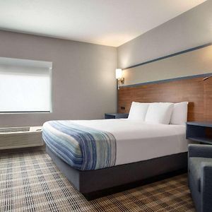 1 King Bed Mobility Accessible Room Roll Shower Non-Smoking