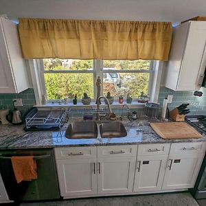 Ekstasis Hostel & Urban Farm