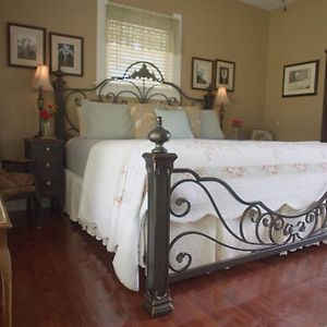 King Room Garden View
