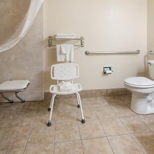 King Room Disability Access