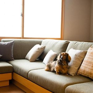 Suite Dog friendly