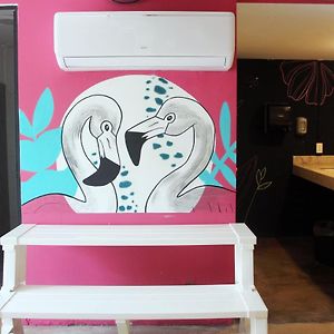 Dormitory Room Female only