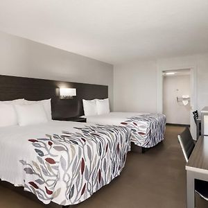 Deluxe  Queen Room Disability Access