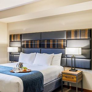 One-Bedroom King Suite