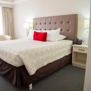 Premium King Room