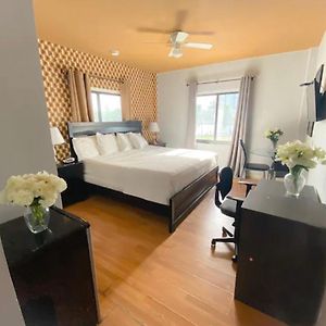 King Studio Sofa Bed