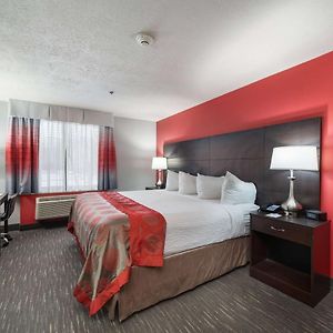 One-Bedroom King Suite Non-Smoking