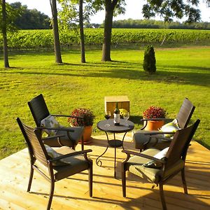 Vineyard Villa