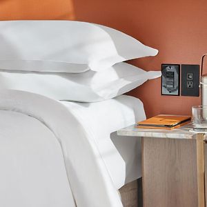 Deluxe Guest Room