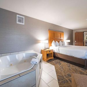 King Suite Roll Shower Mobility Accessible or Non-Smoking