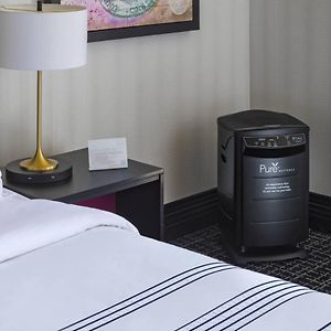 Wellness Queen Room Pure