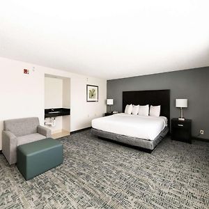 King Room Disability Access