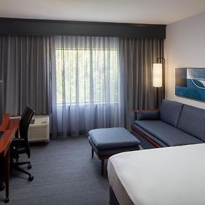Standard King Room Sofa Bed