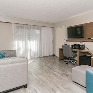 One-Bedroom Executive King Suite Sofa Bed