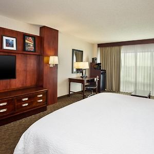 Standard King Room Sofa Bed