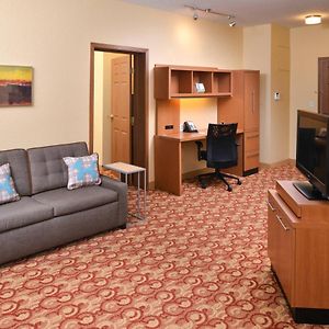 One-Bedroom Queen Suite Sofa Bed