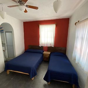 Basic Triple Room