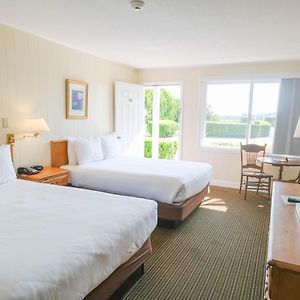 Ground Floor King Room