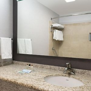 One-Bedroom King Suite