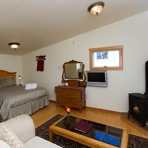 Queen Suite Sofa Bed Pet Friendly