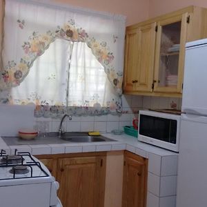 One-Bedroom Ground Floor Apartment