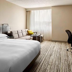 King Room Sofa Bed