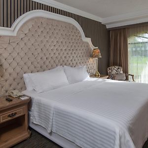 One-Bedroom King Suite