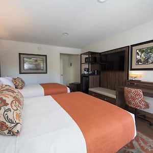 Deluxe Double Room Two Double Beds Non-Smoking