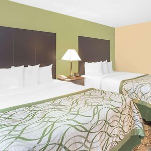 Queen Room Two Queen Beds Pet Friendly or Non-Smoking
