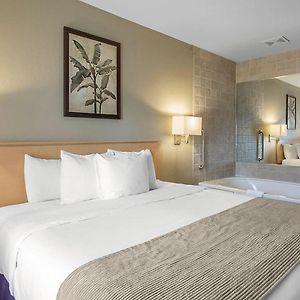 One-Bedroom King Suite