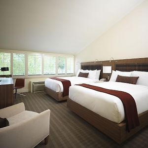 Executive Queen Room