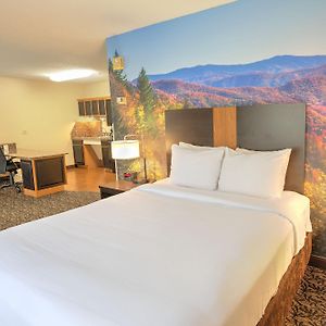 Queen Suite Mobility accessible