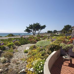 King Room Patio Ocean View