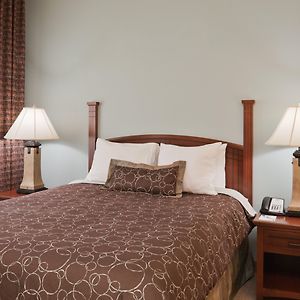 Studio Suite Mobility accessible
