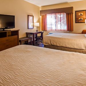 Queen Room Two Queen Beds Non-Smoking