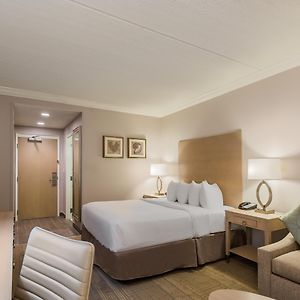Standard King Room Roll Shower Communications Access