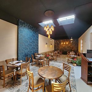 Hotel Ursula Concept