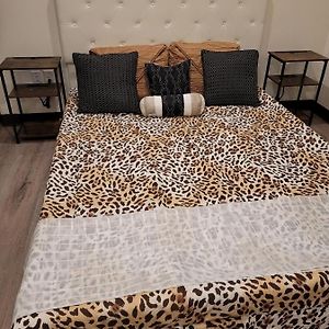 Budget Single Room