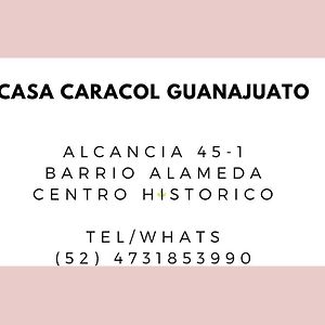 Casa Caracol Guanajuato