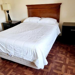 Budget Single Room