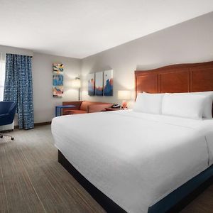 Executive King Room