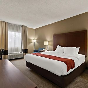King Room Disability Access