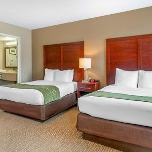 Standard Suite