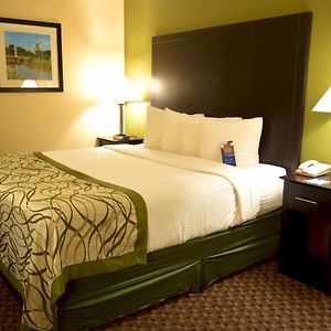 King Room Pet Friendly or Non-Smoking