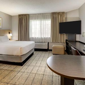 Queen Studio Suite