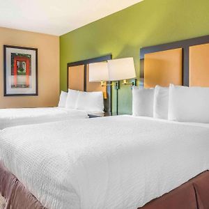 Studio 2 Queen Beds Non-Smoking