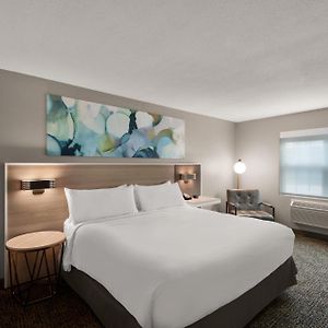 King Room Mobility accessible