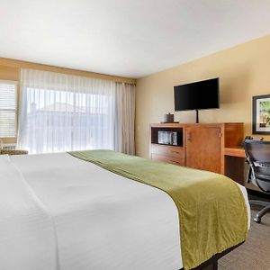 King Room Partial Ocean View Balcony Non-Smoking